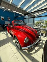 Volkswagen Käfer - Volkswagen Käfer in München