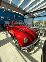 Volkswagen Käfer - Volkswagen Käfer: Roadster, Rot