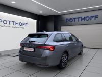 Skoda Octavia - Vorschau Bild 6