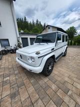 Mercedes-Benz G 500  -Service neu / Rostfrei- - weiße Mercedes-Benz G 500