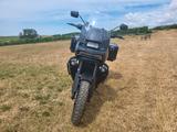 Harley-Davidson Pan America - HARLEY-DAVIDSON PA