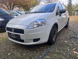 Fiat Punto 1.2 8V POP - Fiat Punto: 1.2