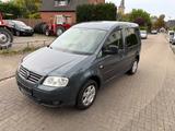 Volkswagen Caddy Life Team Caddy - Volkswagen Caddy: Team