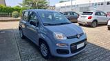 Fiat Panda 1.2 Easy s&s 69cv my19 - Fiat Panda Cabrio Gebrauchtwagen