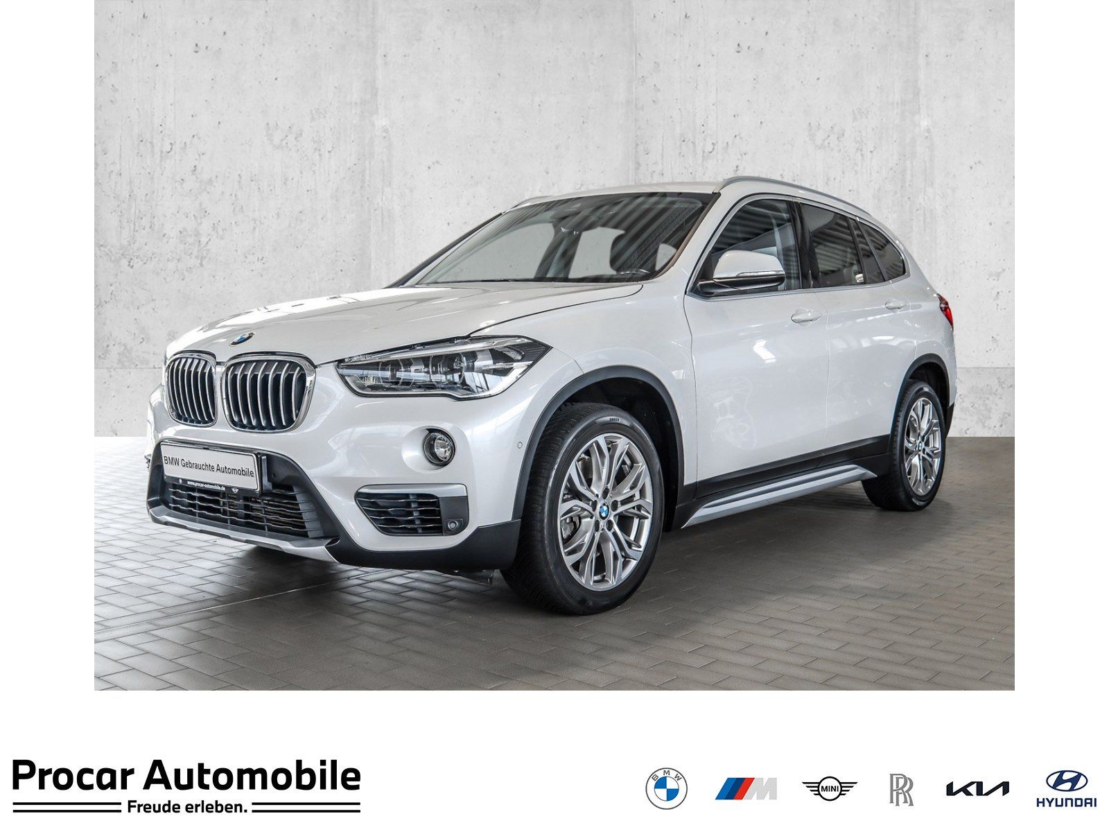 BMW X1 sDrive20i xLine Headup Kamera Hifi Komfzg