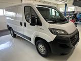 Fiat Ducato H1 Kastenwagen 33 L1H1 140 Multijet Flach - Angebote entsprechen deinen Suchkriterien