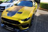 Ford Mustang 5.0 Ti-VCT V8 Bullitt Bullitt - Ford Mustang: Bullitt