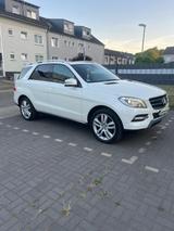 Mercedes-Benz ML 350 BlueTEC 4MATIC - - Mercedes-Benz ML 350 in Gelsenkirchen