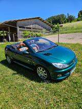 Peugeot 206 CC Roland Garros 110 Roland Garros - Peugeot 206 aus 2004: 1.1