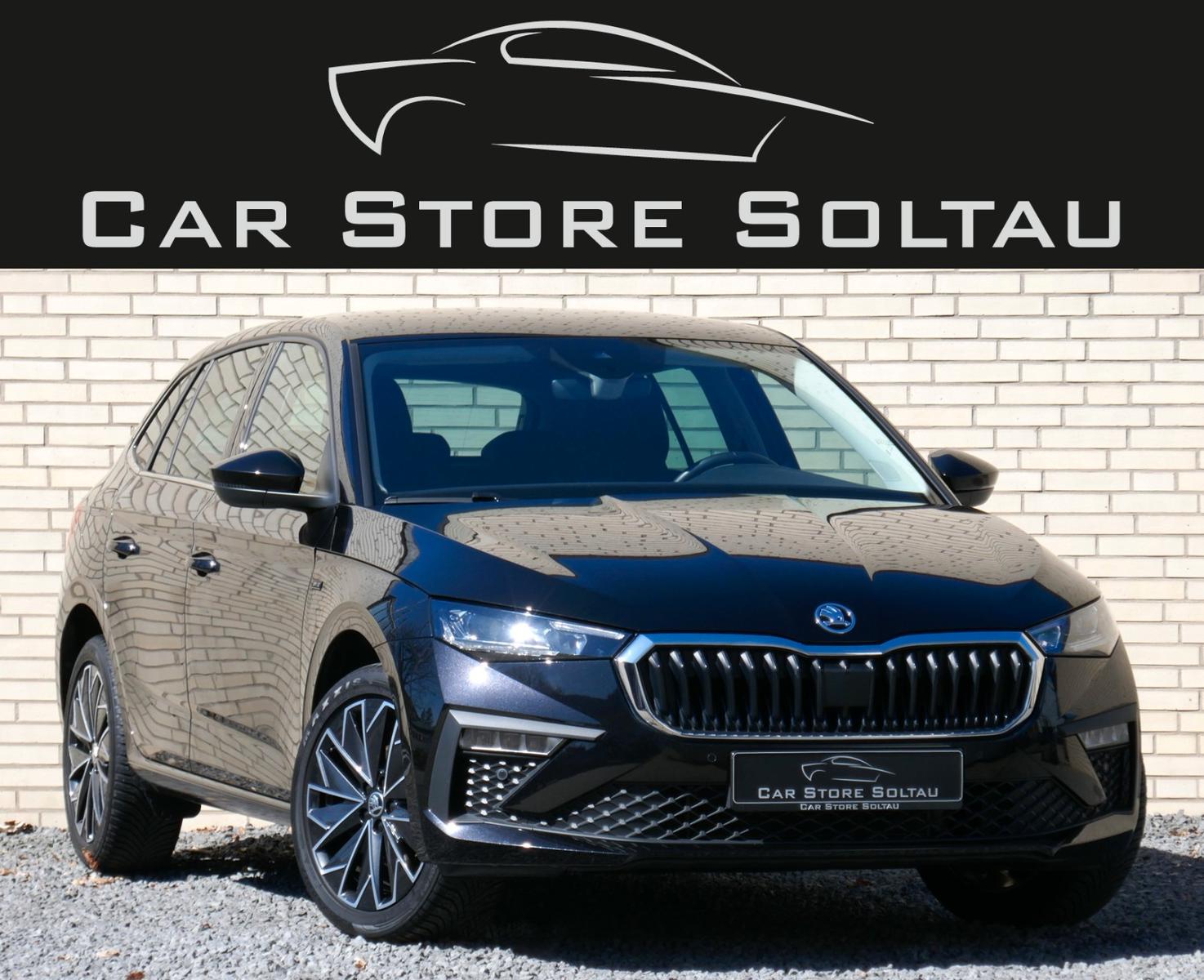 Skoda Scala DSG Matrix Kamera Kessy ACC+Spur+Schild