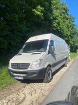 Mercedes-Benz Mercedes Sprinter 313cdi - Mercedes-Benz Sprinter aus 2007: 313 Cdi