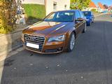 Audi A8 3.0 TDI quattro | Top gepflegt | - Audi A8 aus 2012