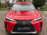 Lexus UX 250h Luxury Line AWD HUD Leder Mark Levinson - Lexus aus 2021
