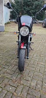 SYM Wolf CR 300i  - SYM VON 251 BIS 500 CCM