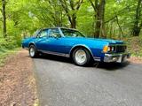 Chevrolet Caprice 1978 US Oldtimer V8 - Chevrolet Caprice mit Benzin-Antrieb
