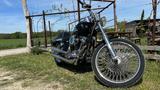 Harley-Davidson Softail FXST 1449ccm Top Zustand - HARLEY-DAVIDSON 2000 SOFTAIL
