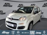 Fiat Panda Pandina 1.0 GSE Hybrid 48 kW Icon - Fiat Panda Tageszulassungen