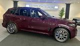 BMW X5 30 d xDrive M SPORT PRO SKY*ICONIC*AHK*STHZ - BMW: ST