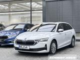 Skoda Octavia Combi 2.0 TDI DSG Selection AHK CANTON - Skoda Octavia Combi mit Diesel-Antrieb