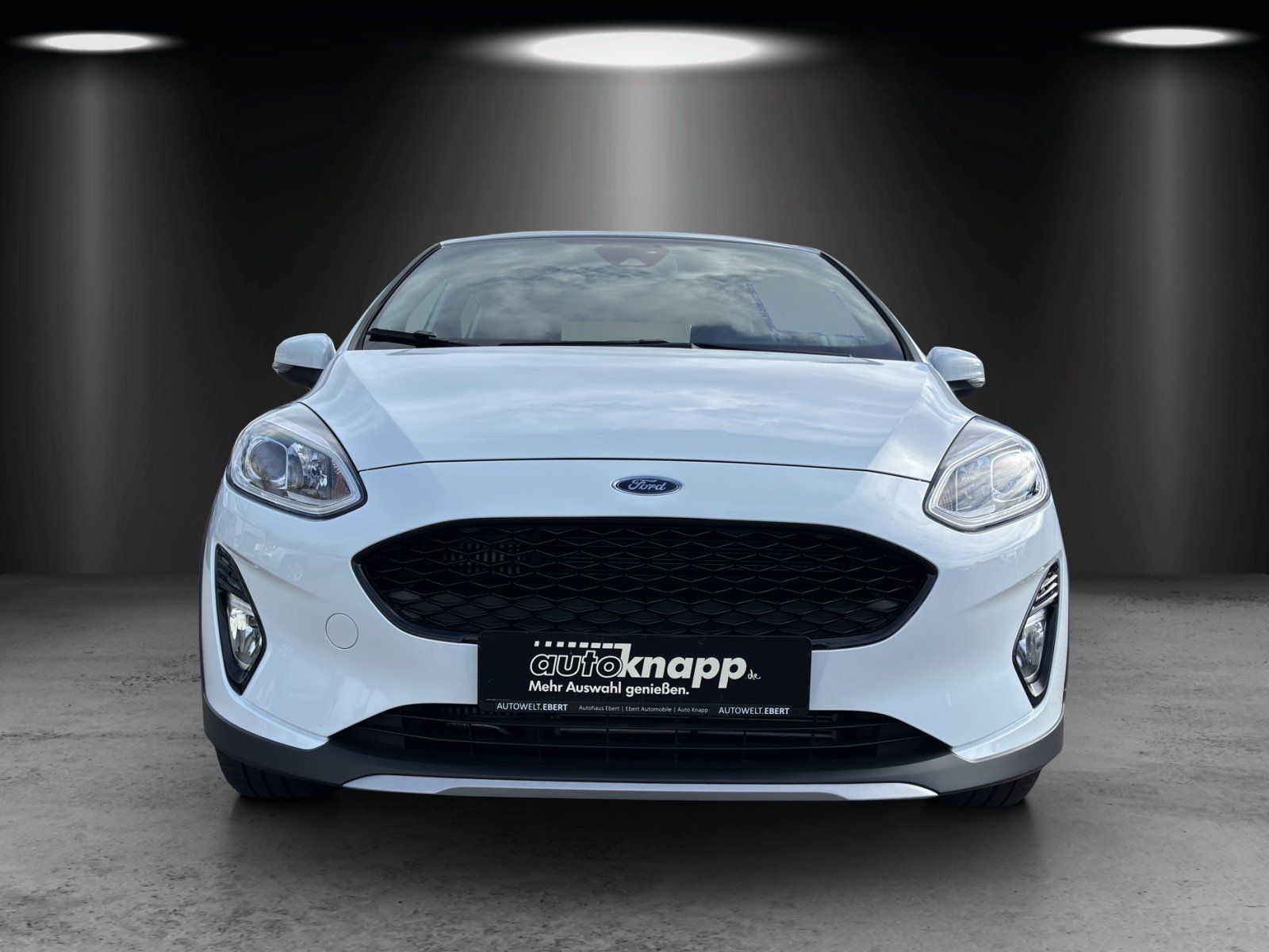 Fahrzeugabbildung Ford Fiesta 1.0 EB Active Plus S/S Aut. RFK Navi SH