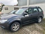 Subaru Forester Trend 1.Hand Allrad Schalt... - Subaru Forester: Trend