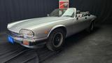 Jaguar XJ XJ-SC Convertible CERT. ASI CRS - Jaguar Gebrauchtwagen von 1988