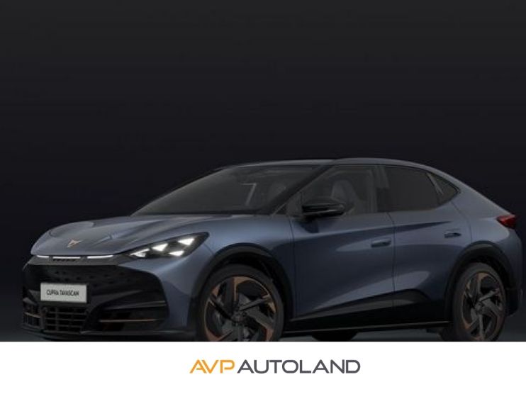 Tavascan 210 kW 77 kWh Endurance | Adrenalin Pac