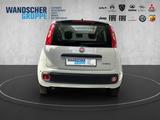 Fiat Panda MY25 Hybrid *PDC*Tempomat*Isofix* - Fiat Panda in Oldenburg