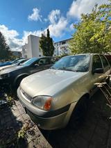 Ford Fiesta 1.3L/ 130k km/ viel neu - gebrauchte Ford Fiesta aus dem Jahr 2000