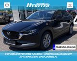 Mazda CX-30 150PS SELECTION DES-P PRE-P E-HECKKLAPPE 3 - Mazda CX-30 Tageszulassungen