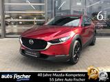 Mazda CX-30 2.0L (186PS) Schalter Homura Sitzheizung N - Mazda CX-30 Gebrauchtwagen in Frankfurt