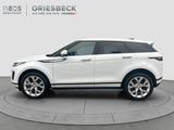 Land Rover Range Rover Evoque P300e SE WinterP*Memory* - Land Rover: Weiß