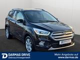 Ford KUGA 2.0 TDCi Titanium Panoramadach - Ford Kuga Gebrauchtwagen in Freiburg