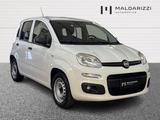 Fiat FIAT Panda III Van 2021 van 1.0 hybrid Pop 70cv  - Fiat Panda POP mit Hybrid-Antrieb (Benzin/Elektro)