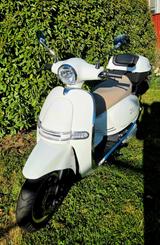 DREEMS Moon X Golden Lion - ROLLER GO