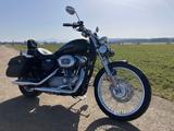 Harley-Davidson Sportster Custom 883 XL2 - HARLEY-DAVIDSON SPORTSTER 883 CUSTOM