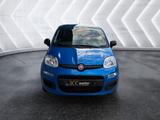 Fiat Panda 1.0 Mild-Hybrid ''Pandina'' Parksensoren K - Fiat Panda Gebrauchtwagen in Stuttgart