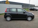 Fiat Panda HYBRID 1.0 GSE 70PS PDC CITY PAKET RADIO - Fiat Panda: Schwarz