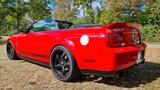 Ford Mustang Shelby GT 500 - Ford Mustang aus 2008: Shelby