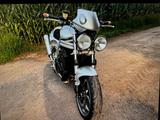 Triumph Speed Triple t509/955i  - TRIUMPH 2000