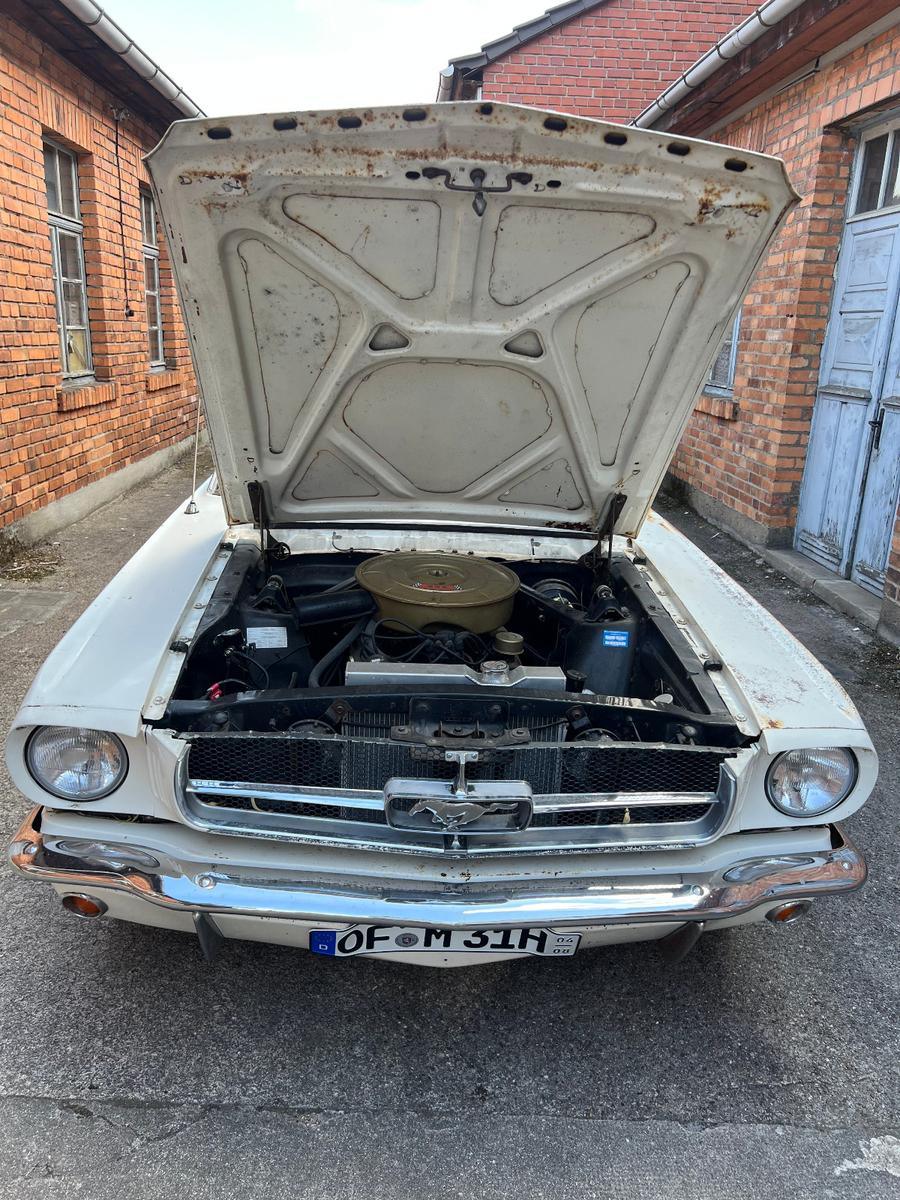 Ford Mustang 1965 / 289 V8