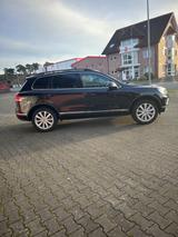 Volkswagen Touareg 3.0 V6 TDI - VW Touareg von privat