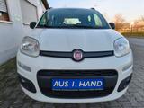 Fiat Panda Easy, KLIMA, TÜV NEU, CITY, 1 Hand - Fiat Panda EASY mit Benzin-Antrieb