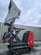 Other *Sonstige CNF T95 PROFI Dumper Hochkipper Selbst - Offers matching your search criteria