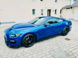 Ford Shelby GT350 - Ford Mustang: Gt350 Shelby