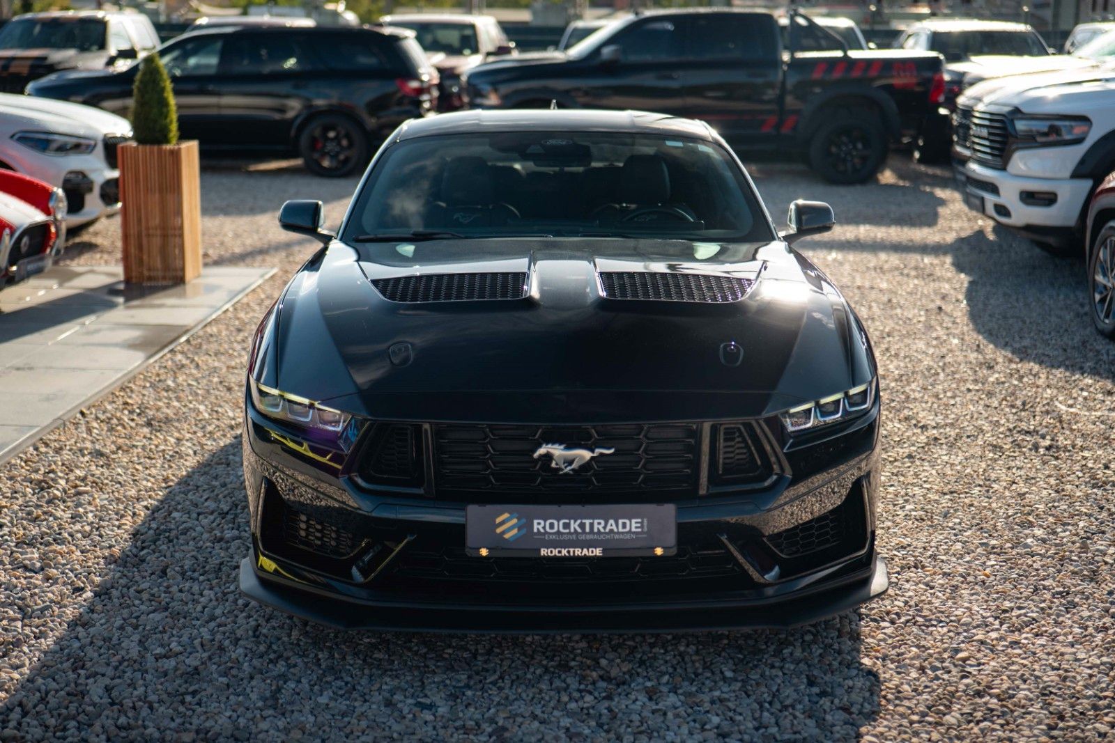 Fahrzeugabbildung Ford Mustang GT Coupe DARK HORSE MY2024 LED 19%