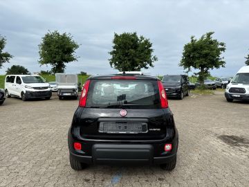 Bild 4 Fiat Panda Base 1.0 Mild Hybrid DAB Klima Freisprech