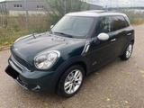 MINI Cooper SD Countryman ALL4 5Sitzer Xen Navi Leder - MINI Cooper SD Countryman: Limousine