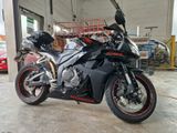 Honda CBR 600 RR PC40 Sturzschaden - HONDA 2008 CBR 600 RR