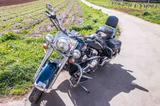 Harley-Davidson Softail classic - HARLEY-DAVIDSON 1998 SOFTAIL